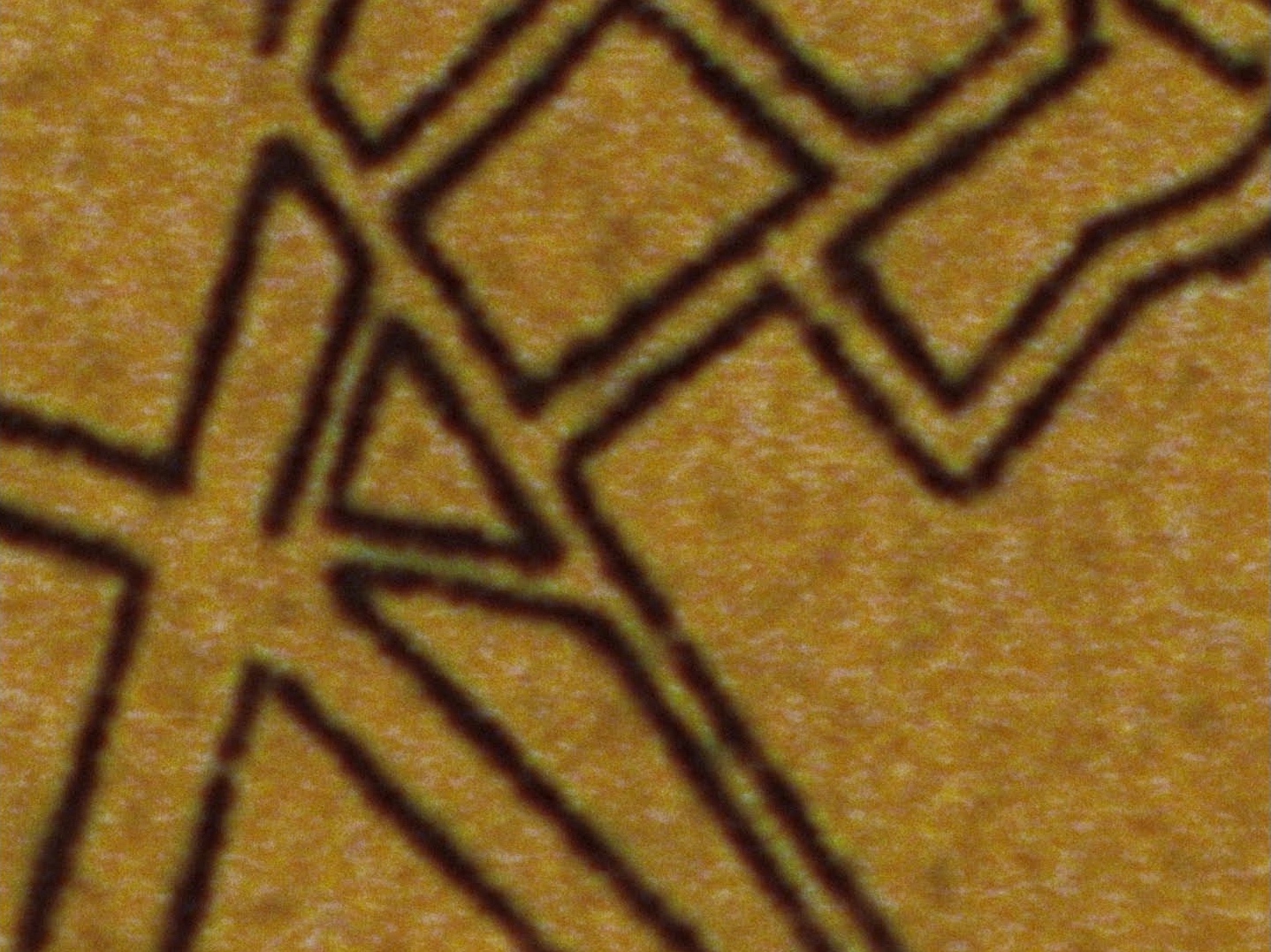 Cholera Image
